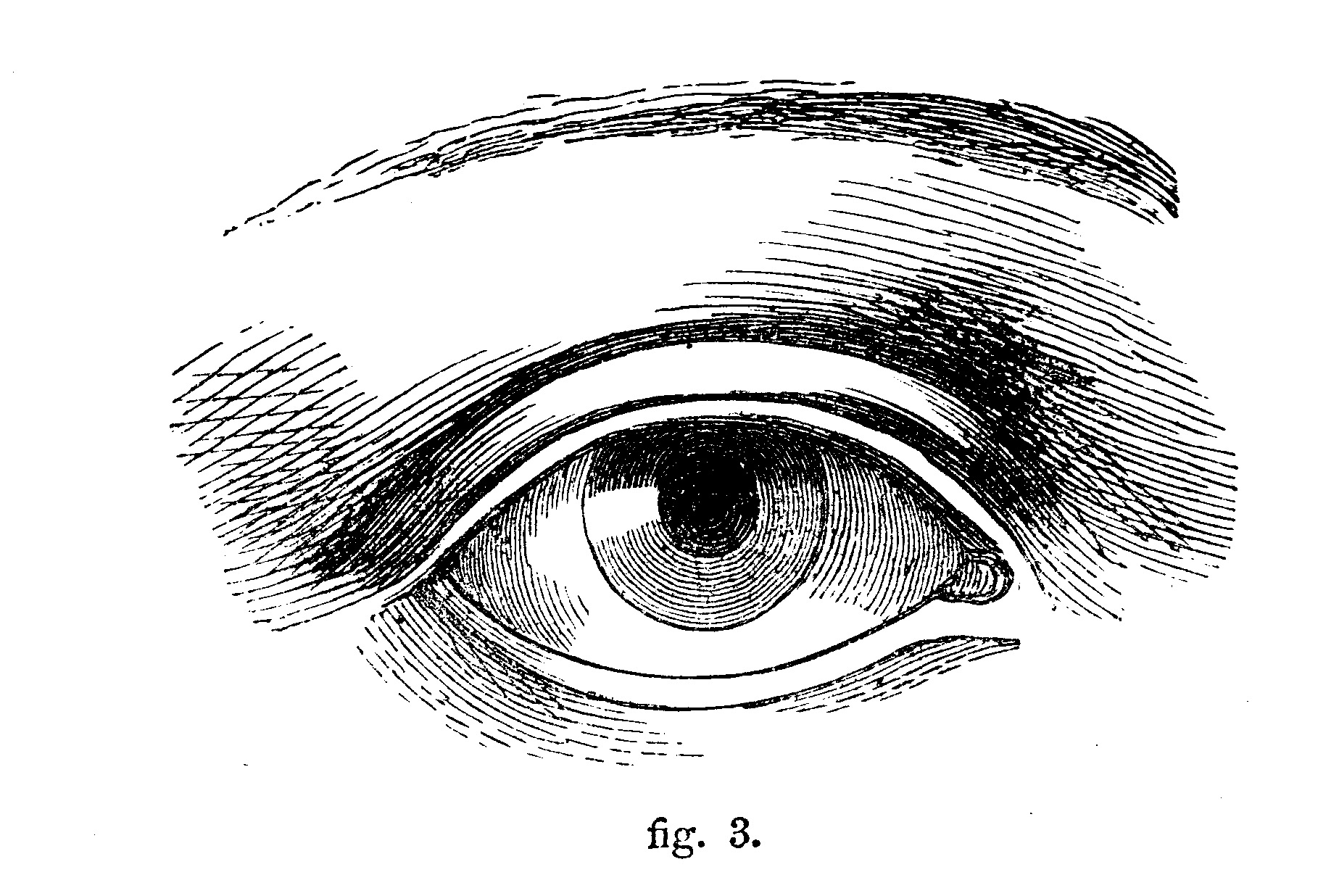 Taken from the Self-Aid Cyclopedia by Robert Scott Burn printed 1860. Chapter on Shading techniques. Front few pages missing from my own book hence image of the dedication on the hard cover dated 1877 and an image of the book for sale showing year of publishing.